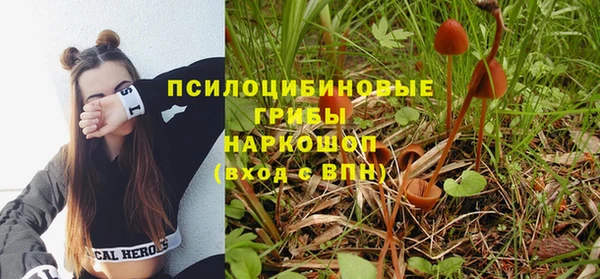 синтетический гашиш Абинск